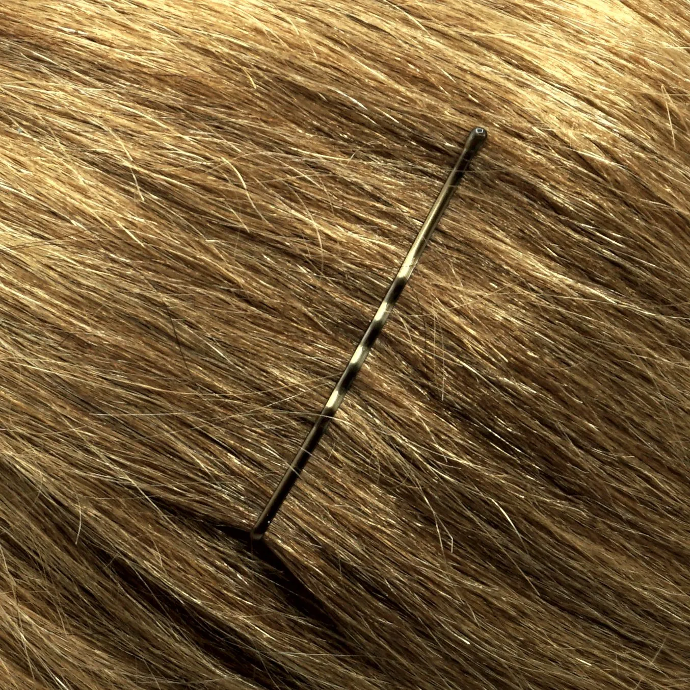 280, Brown, 2.4in (6.0cm), Italian Made Bobby Pins, Recloseable Stay Clean and Organized Container