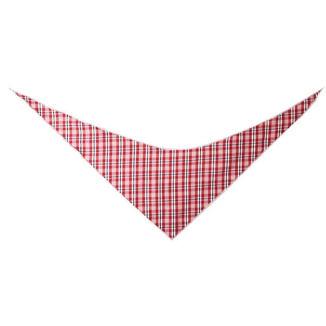 Adjustable Bandana