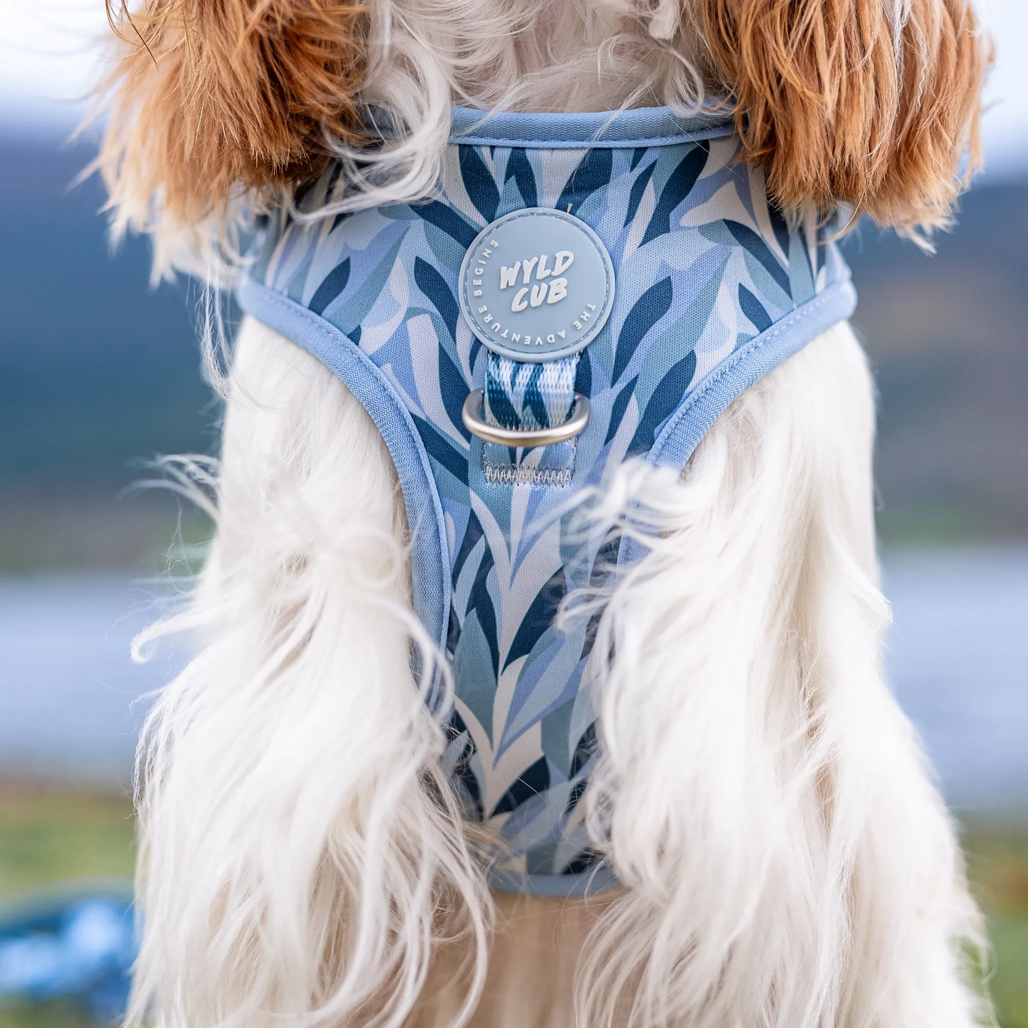 Adjustable Dog Harness: Kew Celeste