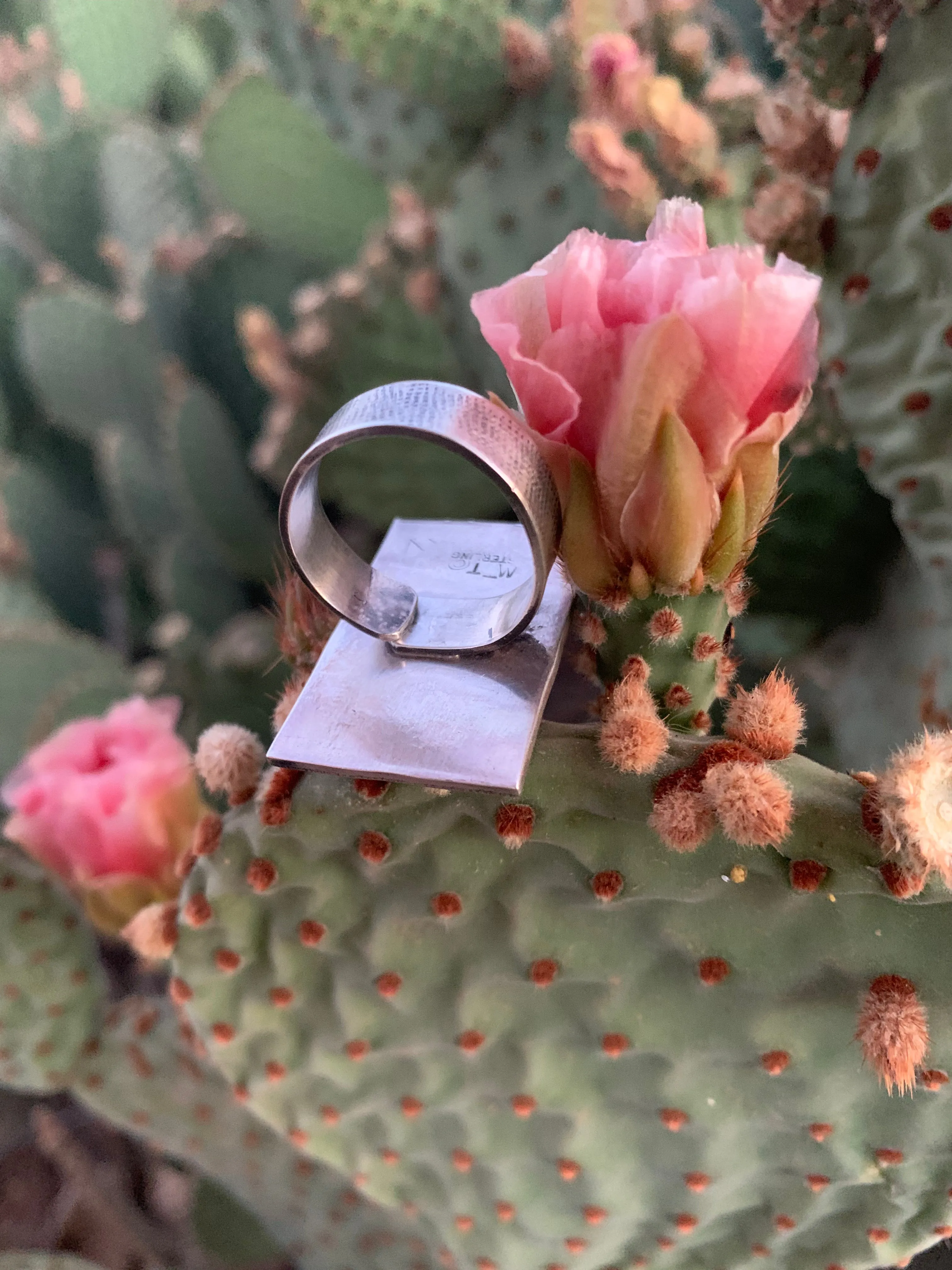 Adjustable Kingman Turquoise ring