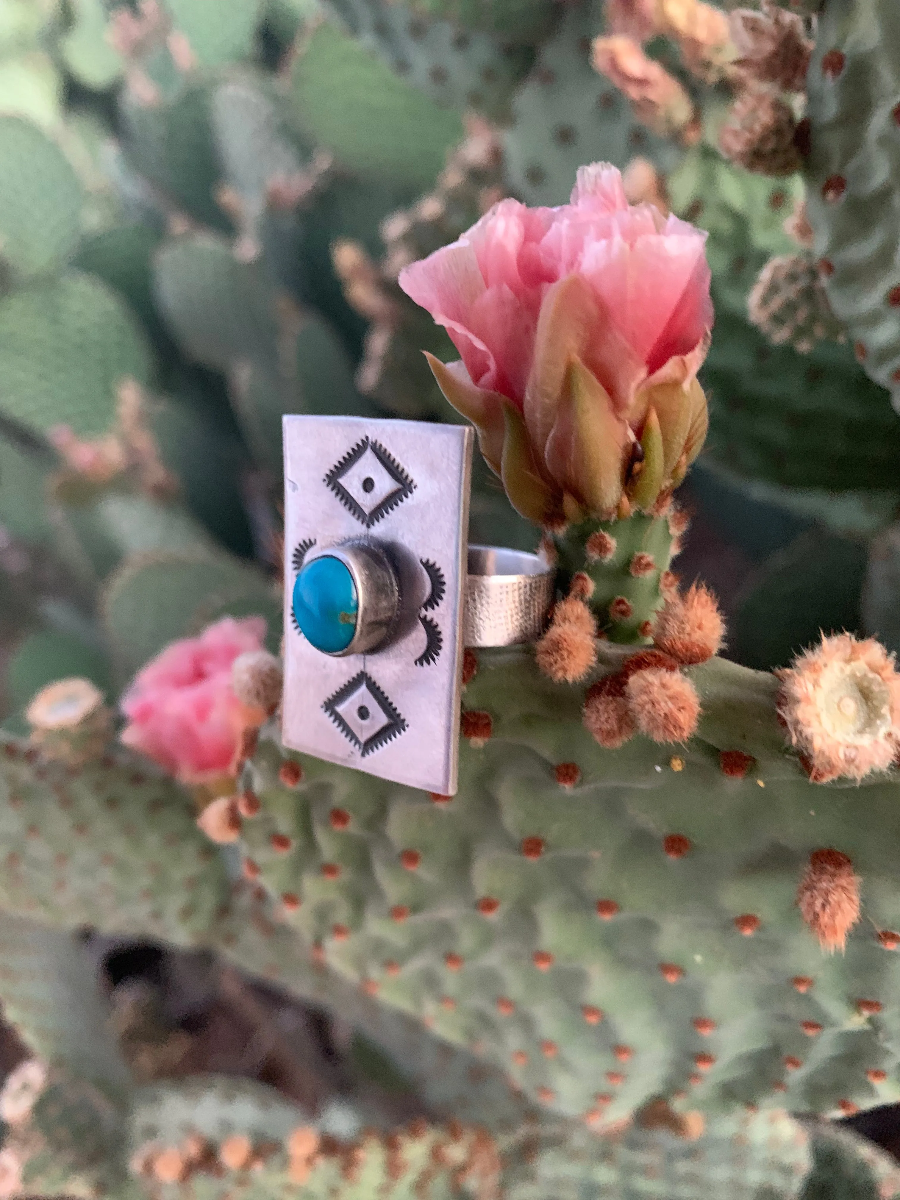 Adjustable Kingman Turquoise ring