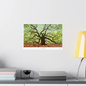 Angel Oak - Print on Paper