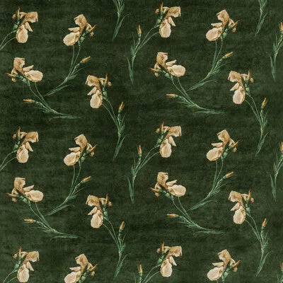 Baker Iris-Emerald