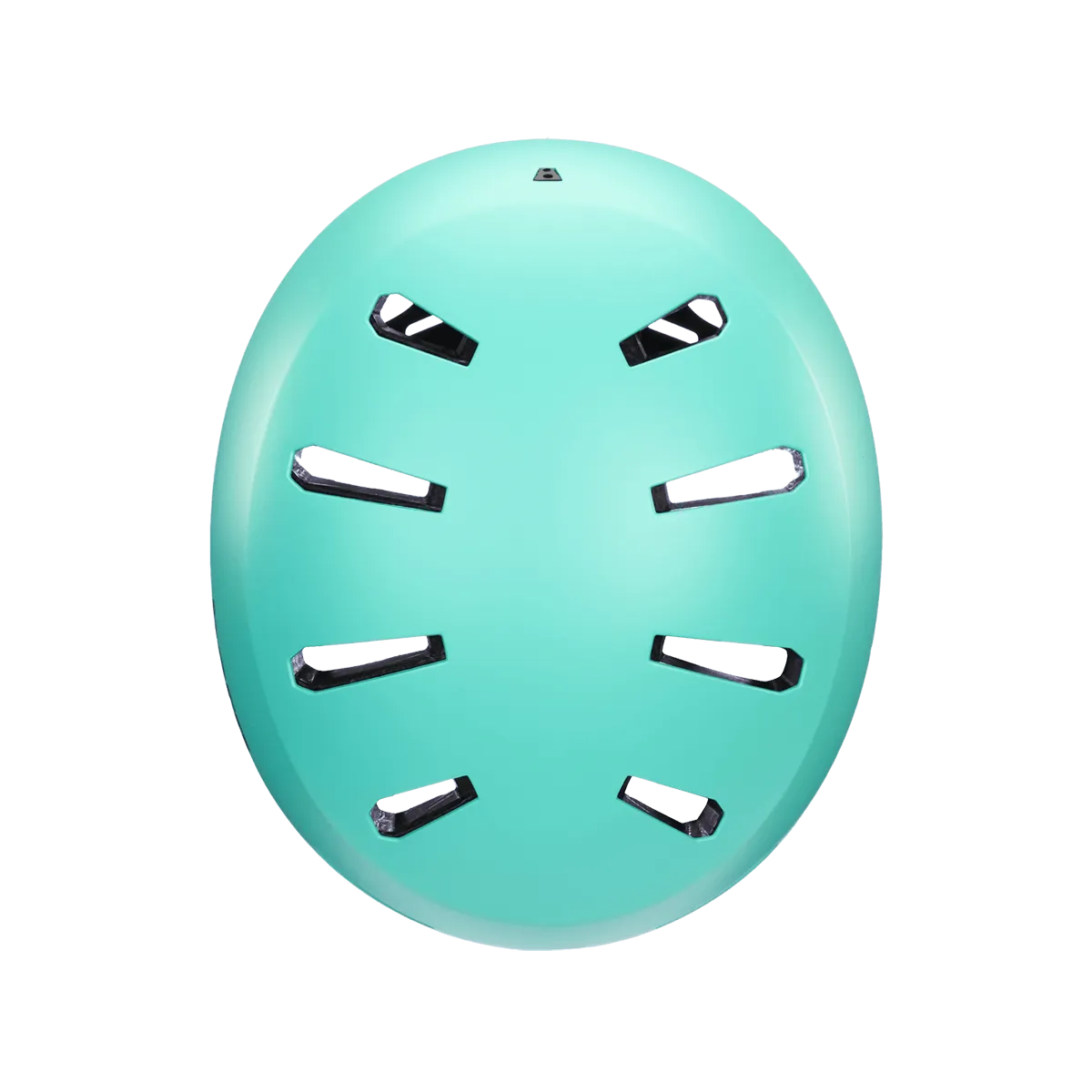 Bern  Macon 2.0 MIPS Matte Mint