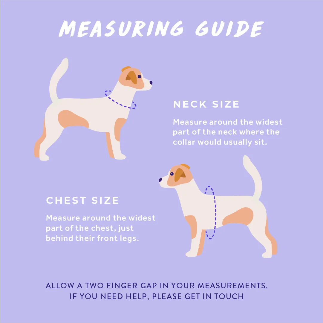 Camo, Let's get Outta Here!: Adjustable Dog Harness