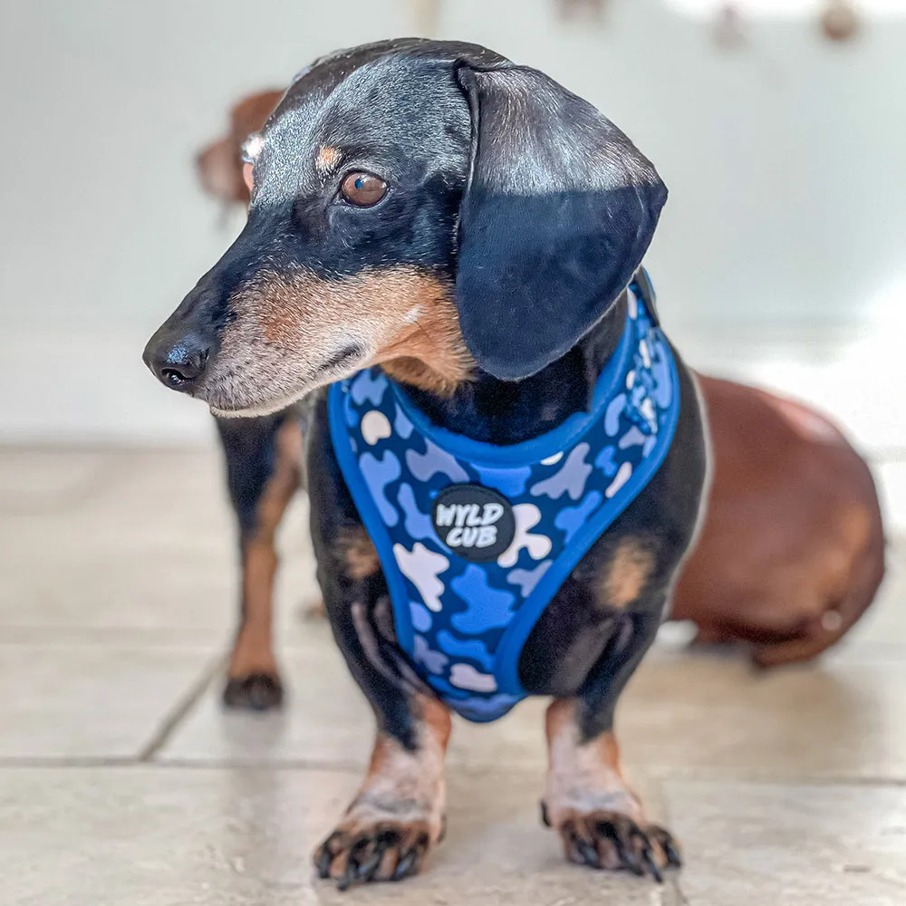 Camo, Let's get Outta Here!: Adjustable Dog Harness