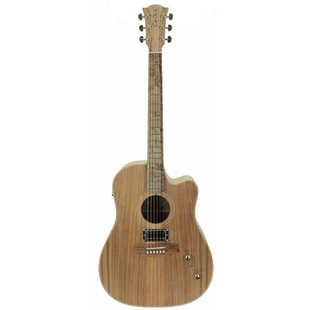 Cole Clark FL2EC Acoustic Electric w/ Humbucker, All Blackwood