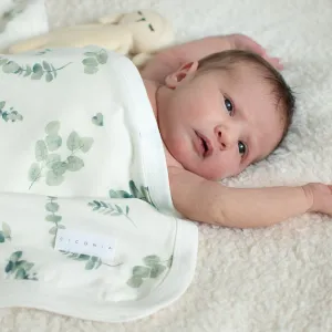 Eucalyptus Blanket