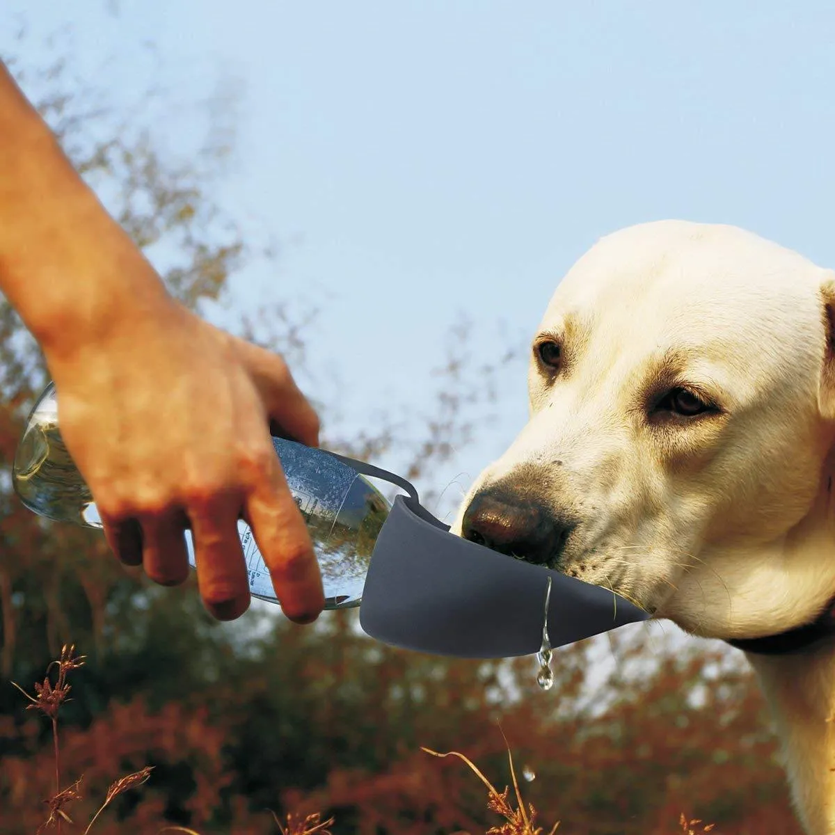 Flip-Up Leaf Portable Dog Water Bottle