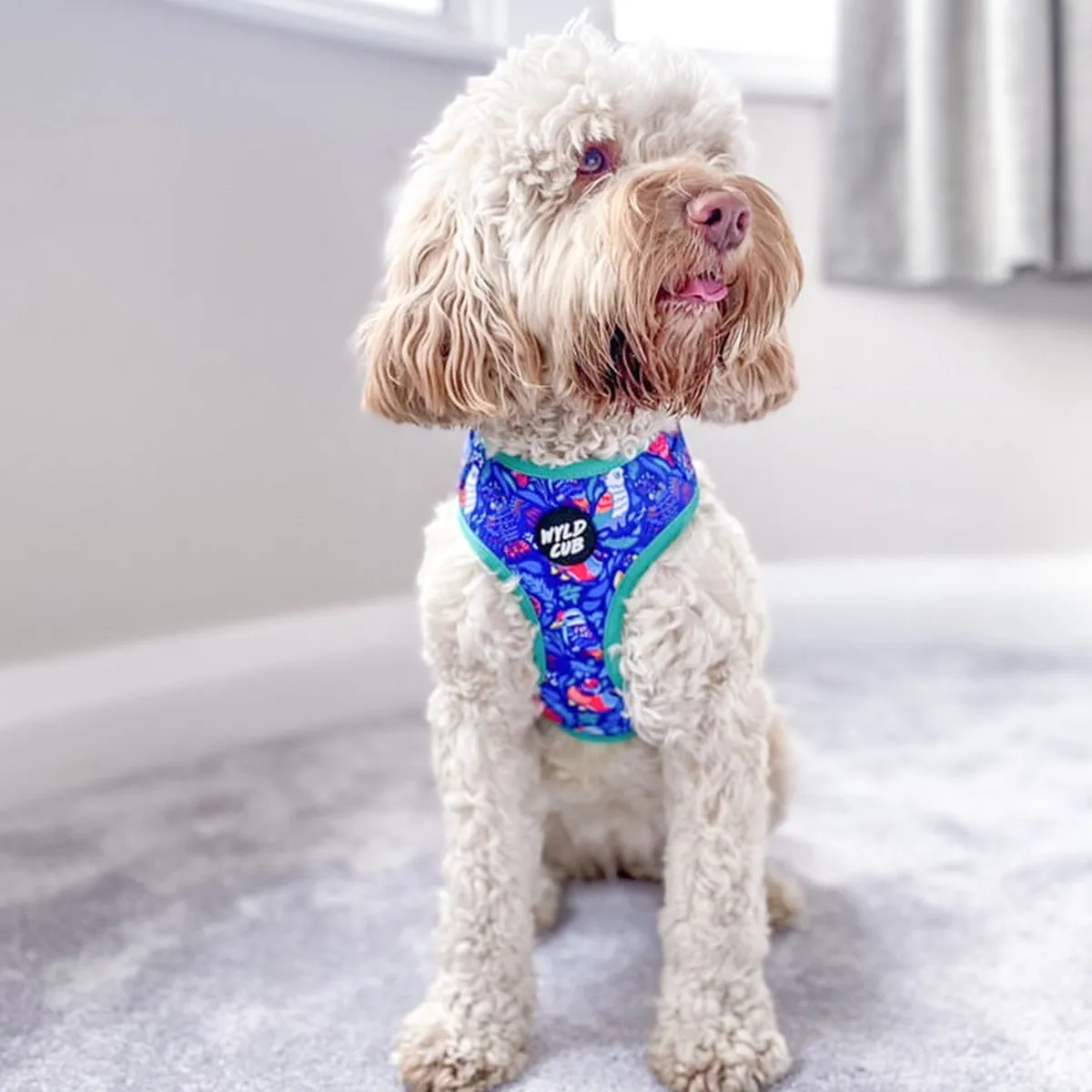 Flockin' Fabulous: Adjustable Dog Harness