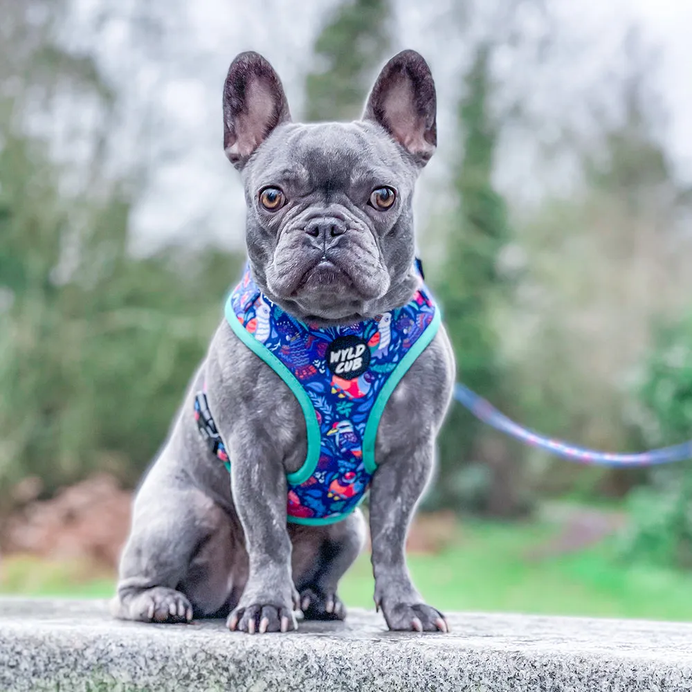 Flockin' Fabulous: Adjustable Dog Harness