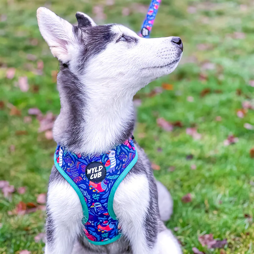 Flockin' Fabulous: Adjustable Dog Harness