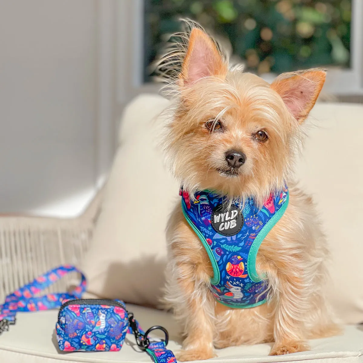 Flockin' Fabulous: Adjustable Dog Harness