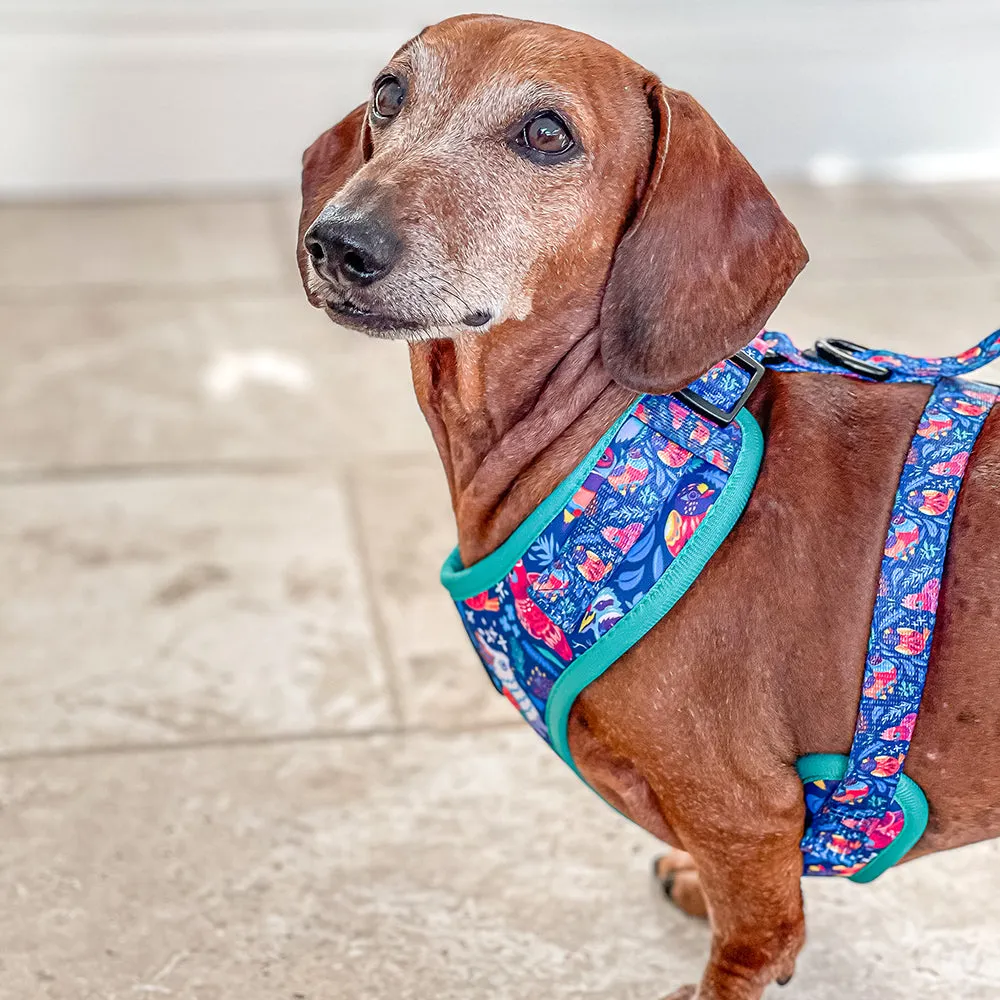 Flockin' Fabulous: Adjustable Dog Harness