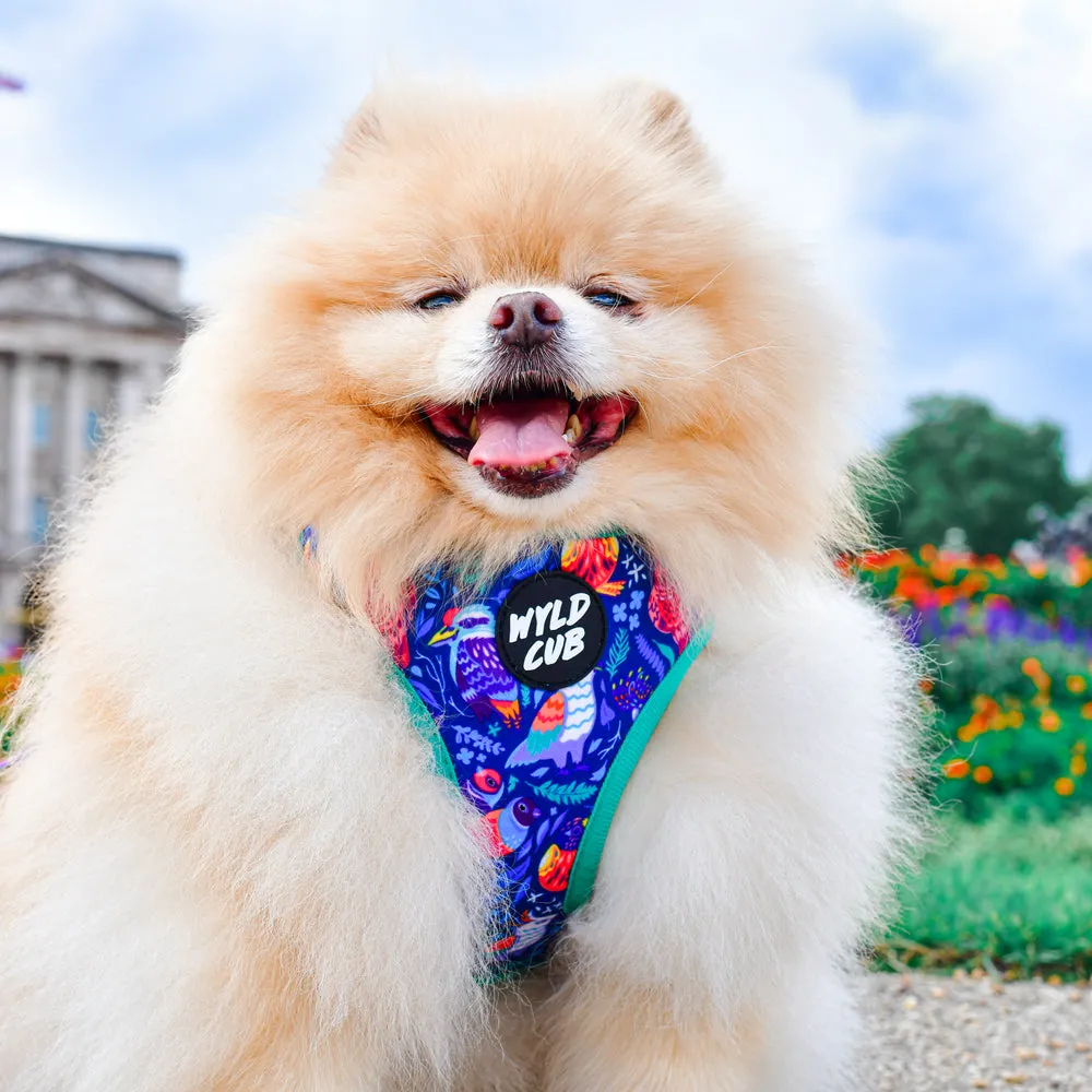 Flockin' Fabulous: Adjustable Dog Harness