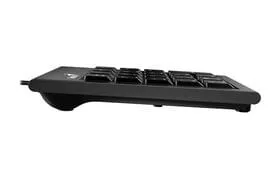 Genius Numpad 100