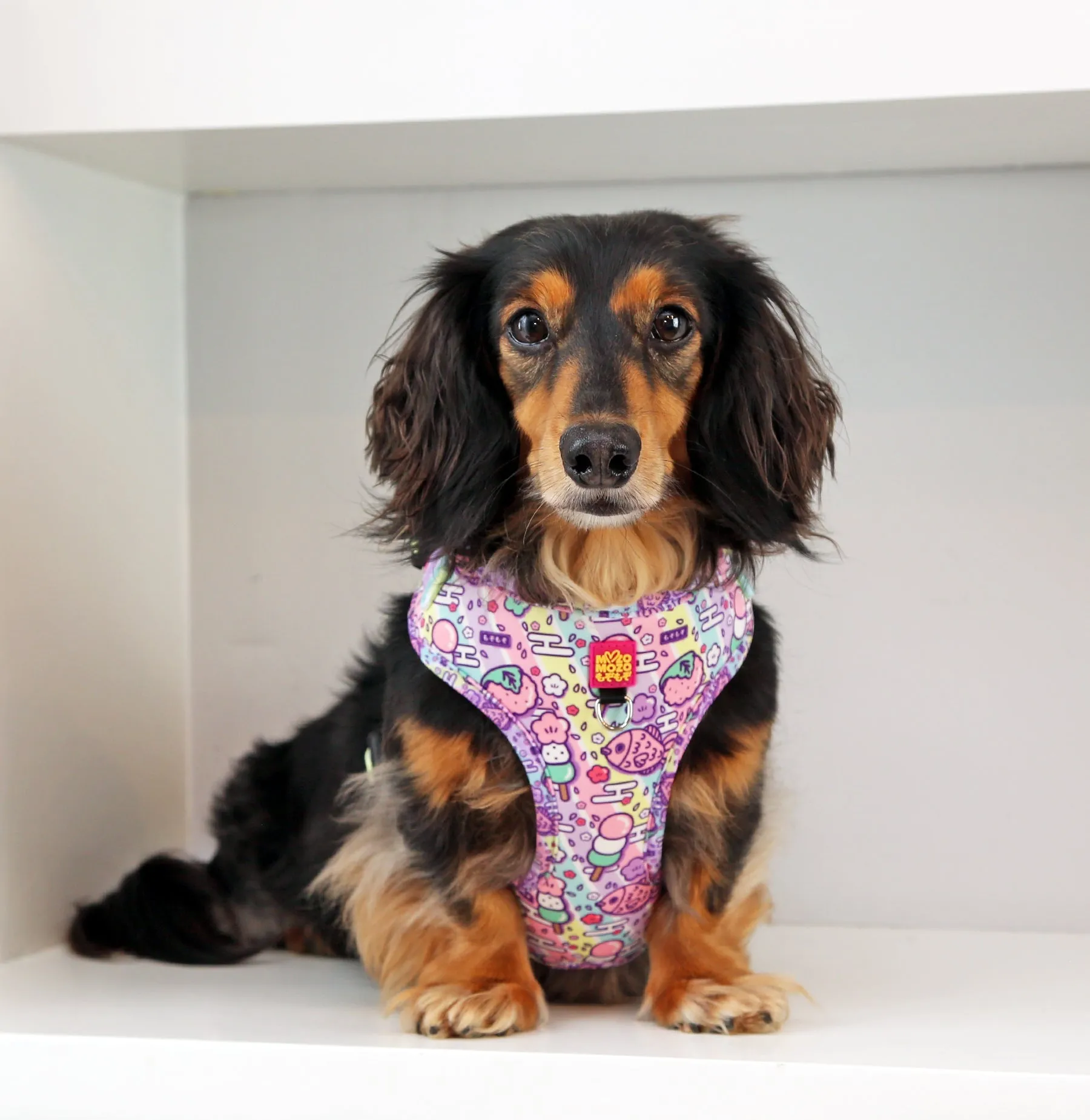 Hanami adjustable harness