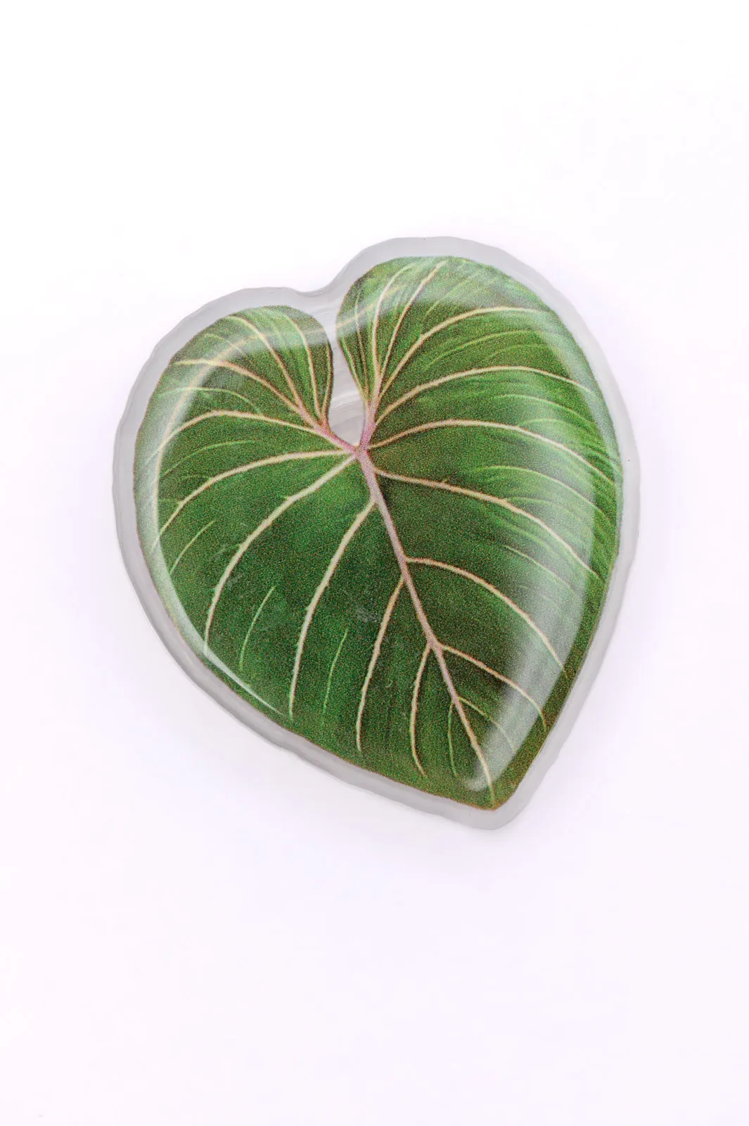 Hazel Blues® |  Plant Lover Phone Girp Tropical Leaf
