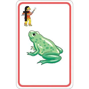 Letterland My First Phonics Flashcards