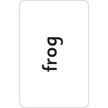 Letterland My First Phonics Flashcards