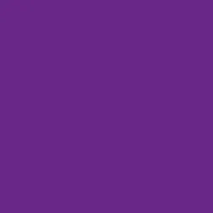 Matte/Gloss Duo Sided - Purple