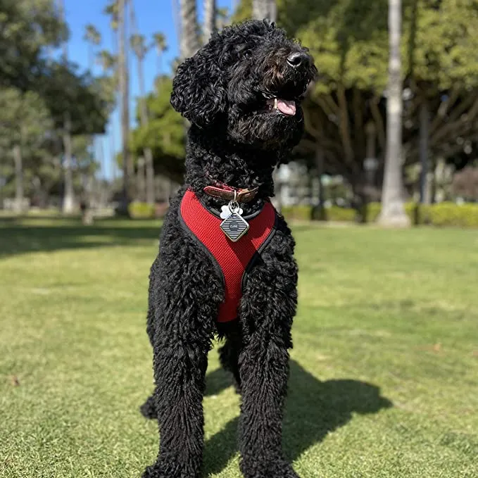 New in box! Cube Pro Key Finder Smart Tracker Bluetooth GPS Tracker for Dogs, Kids, Cats, Luggage, Wallet, with app for Phone, Replaceable Battery Waterproof Tracking Device