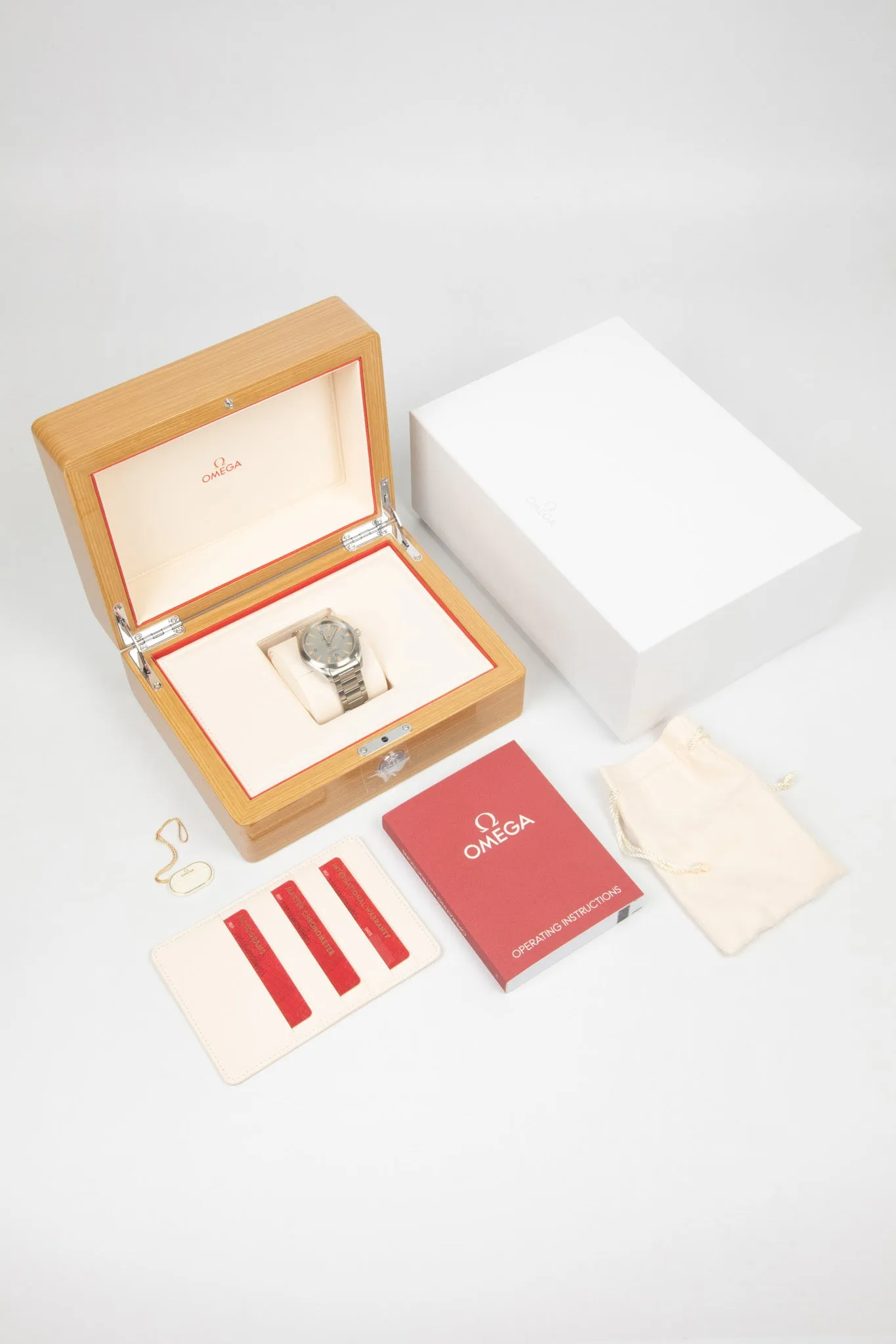 OMEGA Railmaster 40mm - Grey