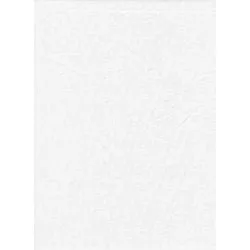 Promaster 10x12 Poly Cotton White Backdrop