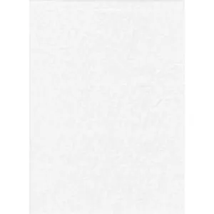 Promaster 10x12 Poly Cotton White Backdrop