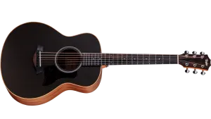 Taylor GS Mini-e Special Edition, Trans Black